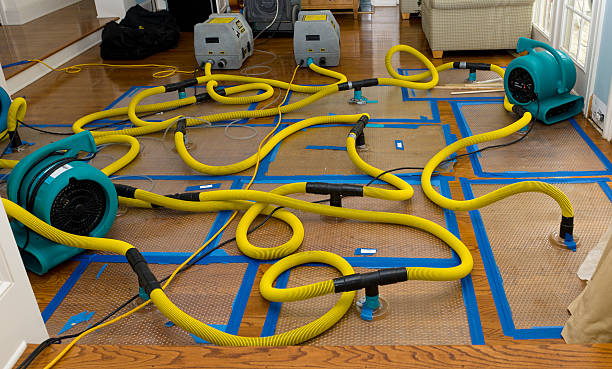Professional Sewage Cleanup technician working in Parker, FL